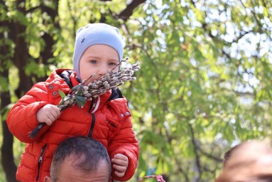 Вход Господень в Иерусалим