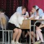 Отборочный тур интеллектуального турнира "Буквица" 94