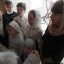 Литургия свят. Иоанна Златоустаго 2