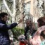 Вход Господень в Иерусалим 31