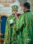 Вход Господень в Иерусалим 47